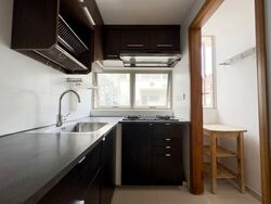 The Midas (D14), Apartment #594218761